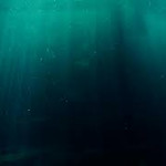 Why are DEEP SEA Creatures Coming to Surface?